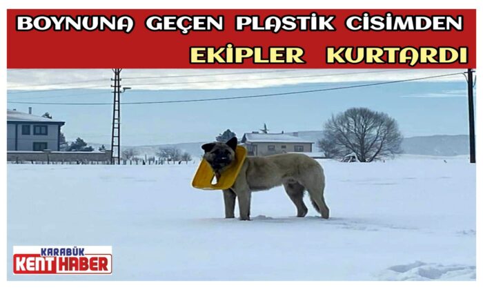 Boynuna geçen plastik cisimden ekipler  kurtardı