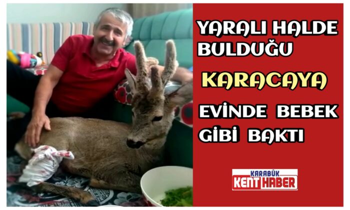 Yaralı Bulduğu Karacaya Evinde Bebek Gibi Baktı