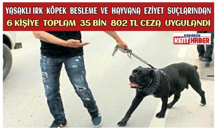 Yasaklı Irk Köpek Besleme ve Hayvana Eziyet suçlarından 6 kişiye toplam 35 Bin 802 TL idari yaptırım uygulandı