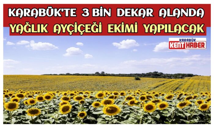 Karabük’te 3 Bin Dekar Alanda Yağlık Ayçiçeği Ekimi Yapılacak