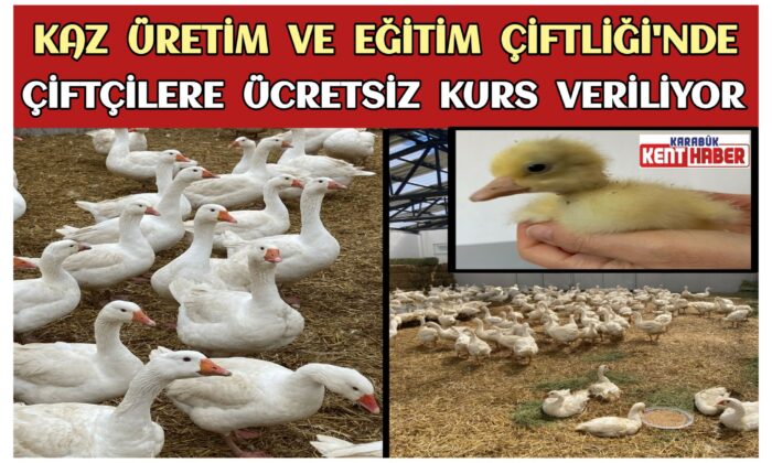 Kaz Üretim ve Eğitim Çiftliği’nde Çiftçilere Ücretsiz Kurs Veriliyor