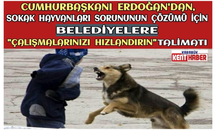 Cumhurbaşkanı Recep Tayyip Erdoğan’dan Belediyelere ‘Sokak Hayvanları’ İçin Talimat