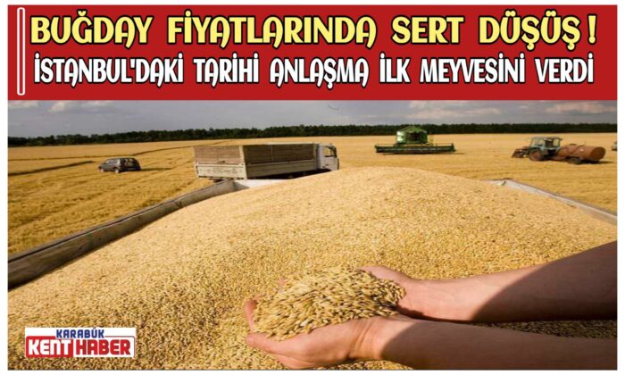 Buğday fiyatlarında sert düşüş