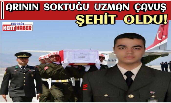 Arının soktuğu uzman çavuş şehit oldu