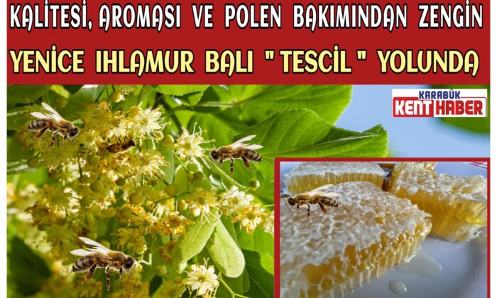 YENİCE IHLAMUR BALI “TESCİL” YOLUNDA