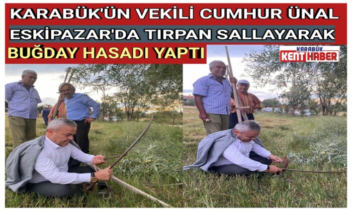 KARABÜK’ÜN VEKİLİ ÜNAL<br>ESKİPAZAR’DA TIRPAN SALLAYARAK BUĞDAY HASADI YAPTI