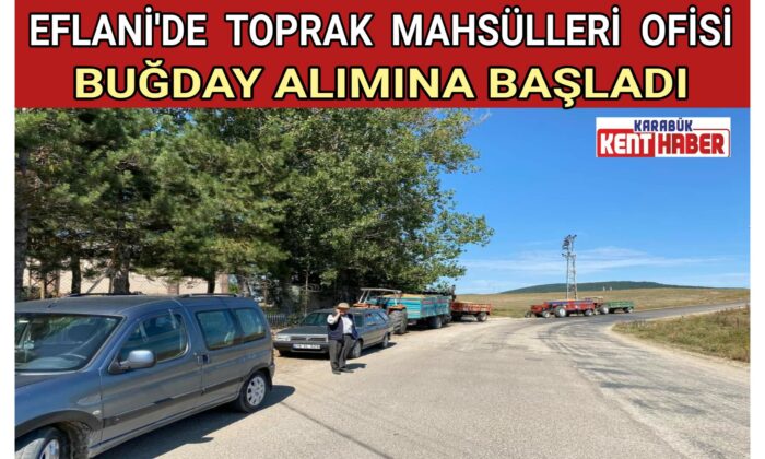 EFLANİ’DE TOPRAK MAHSÜLLERİ OFİSİ<br>BUĞDAY ALIMINA BAŞLADI