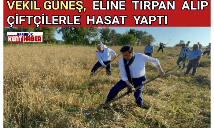 VEKİL GÜNEŞ ELİNE TIRPAN ALIP ÇİFTÇİLERLE HASAT YAPTI