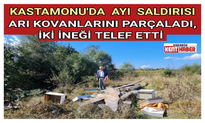 KASTAMONU’DA AYI SALDIRISI