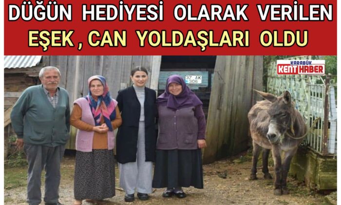 düğün hediyesi olarak verilen eşek, can yoldaşları oldu