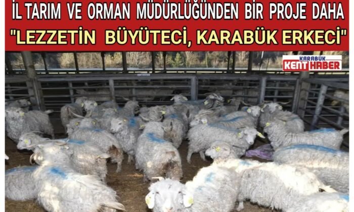 İL TARIM  VE  ORMAN  MÜDÜRLÜĞÜNDEN  BİR  PROJE  DAHA “LEZZETİN  BÜYÜTECİ, KARABÜK ERKECİ”