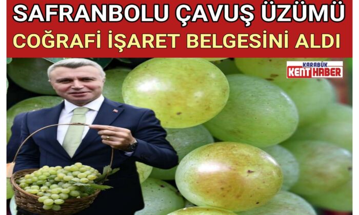 SAFRANBOLU ÇAVUŞ ÜZÜMÜ COĞRAFİ İŞARET BELGESİNİ ALDI