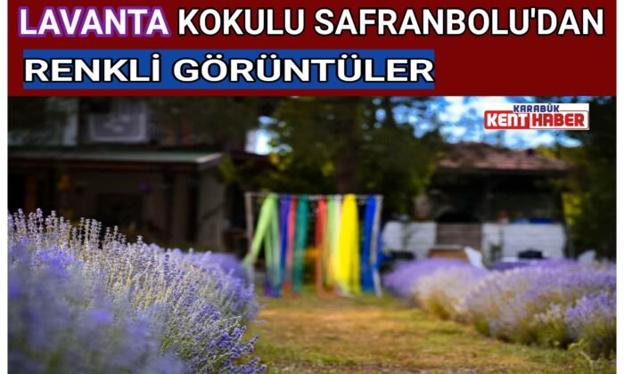 LAVANTA KOKULU SAFRANBOLU’DAN RENKLİ GÖRÜNTÜLER