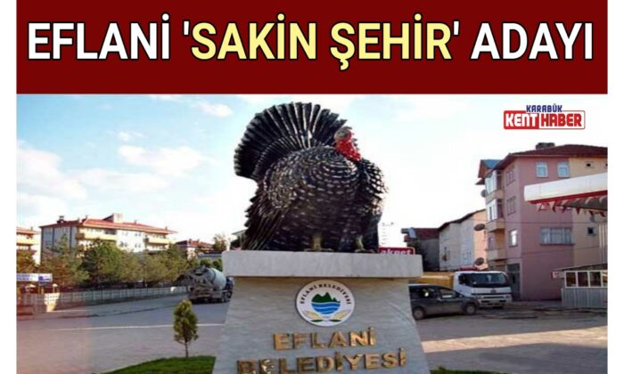 EFLANİ ‘SAKİN ŞEHİR’ ADAYI