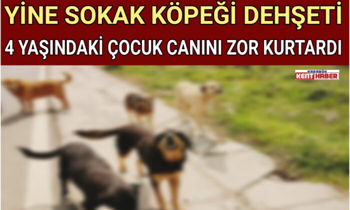 YİNE SOKAK KÖPEĞİ DEHŞETİ..4 YAŞINDAKİ ÇOCUK CANINI ZOR KURTARDI