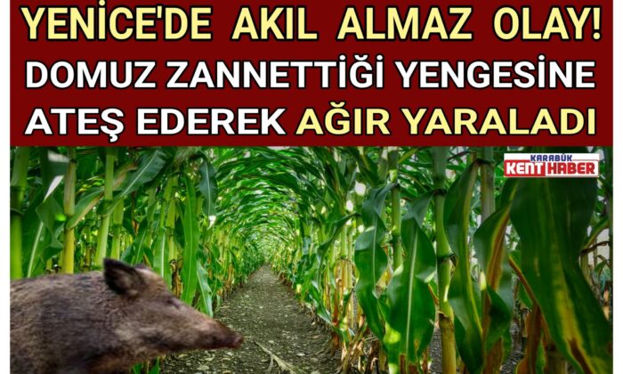 DOMUZ ZANNETTİĞİ YENGESİNİ AĞIR YARALADI