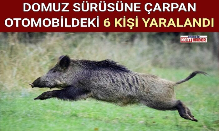 DOMUZ SÜRÜSÜNE ÇARPAN OTOMOBİLDEKİ 6 KİŞİ YARALANDI