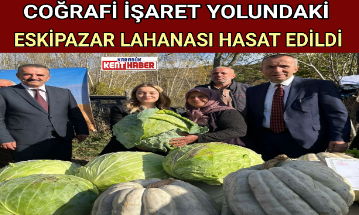 ESKİPAZAR LAHANASI HASAT EDİLDİ