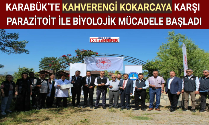 KARABÜK’TE KAHVERENGİ KOKARCAYA KARŞI PARAZİTOİT İLE BİYOLOJİK MÜCADELE BAŞLADI.