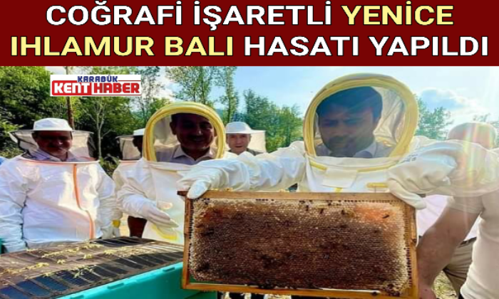 COĞRAFİ İŞARETLİ YENİCE IHLAMUR BALI HASATI YAPILDI
