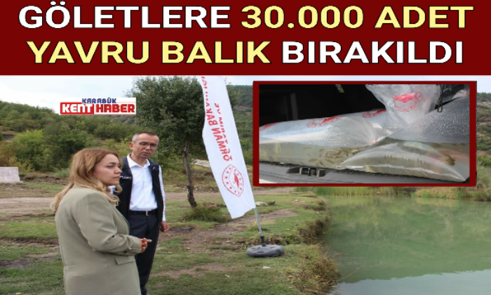 GÖLETLERE 30.000 ADET YAVRU BALIK BIRAKILDI